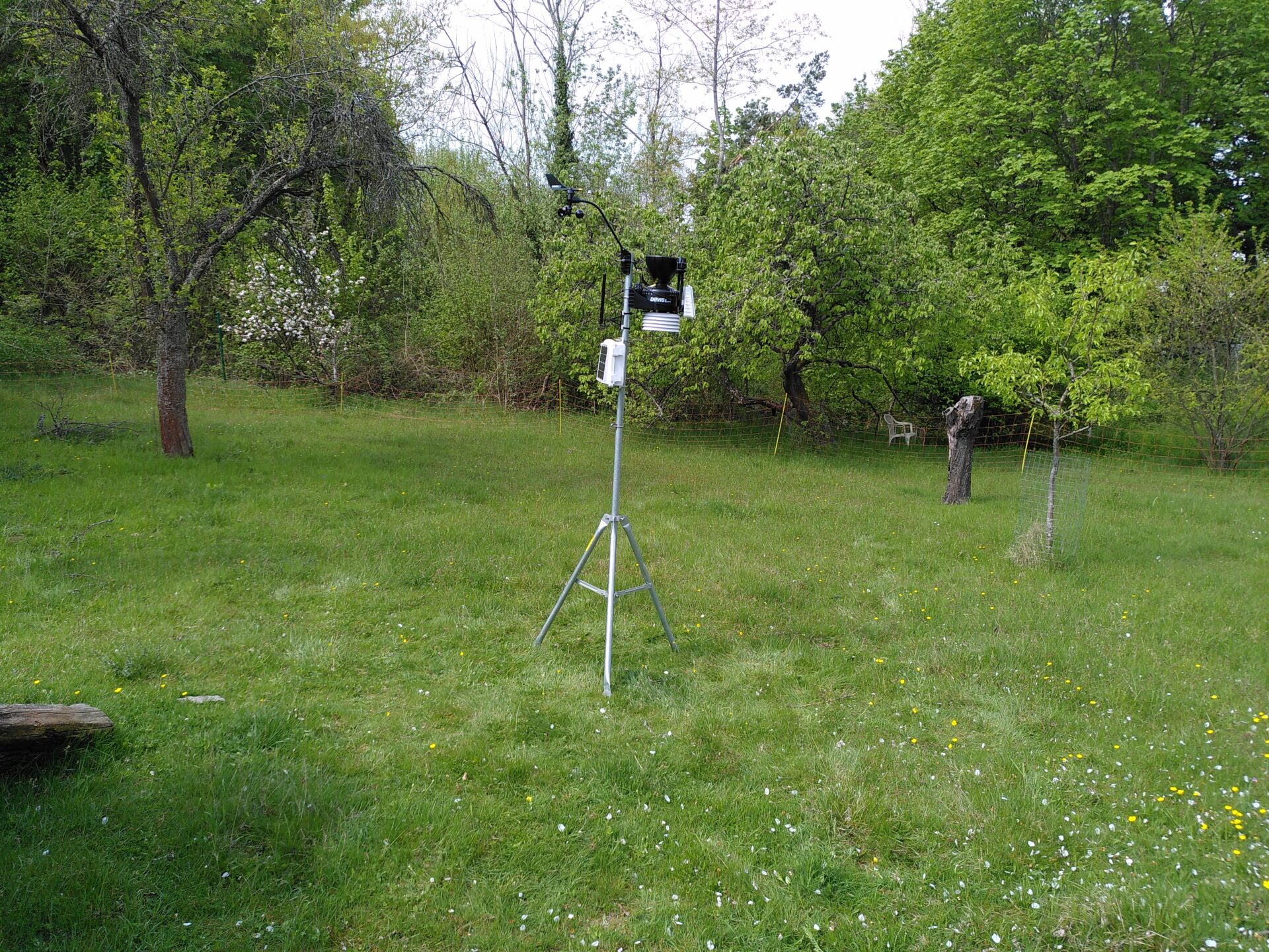 Ein kleiner Mast mit ehreren Geräten daran steht auf einer grünen Wiese